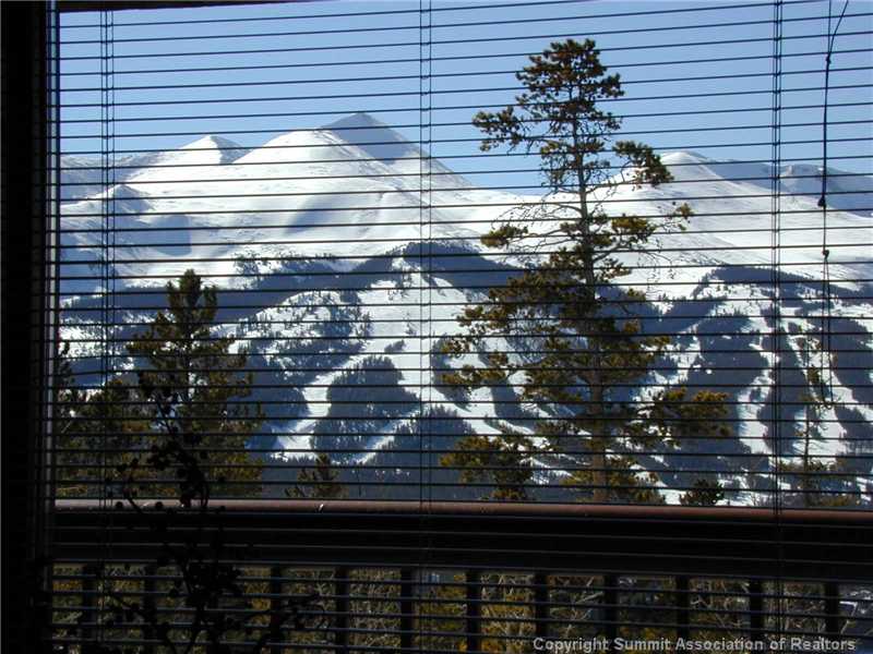 56 View Lane Breckenridge CO 80424