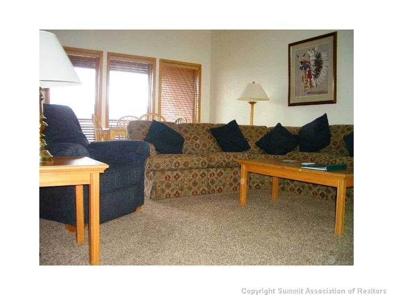 56 View Lane Breckenridge CO 80424