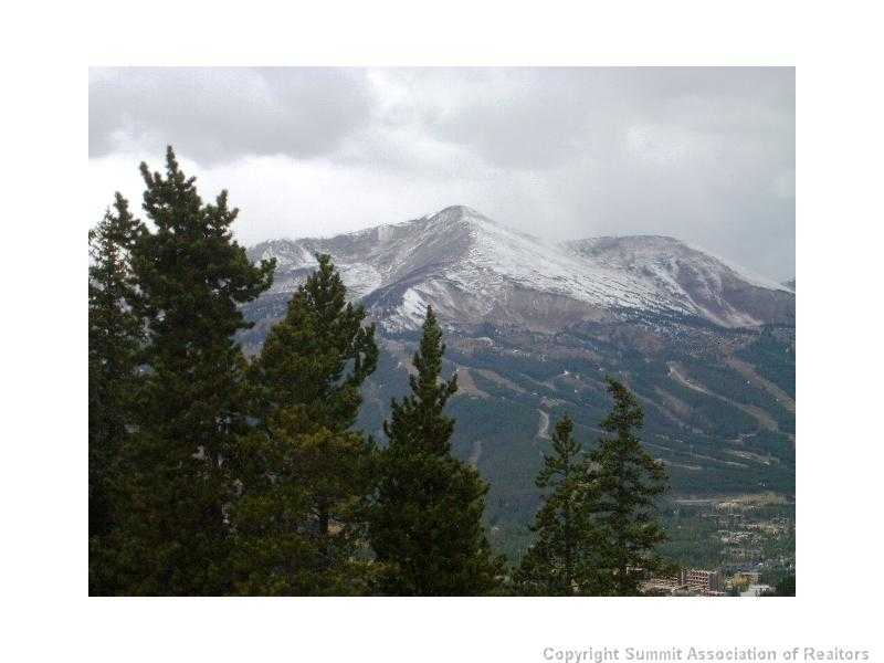 56 View Lane Breckenridge CO 80424