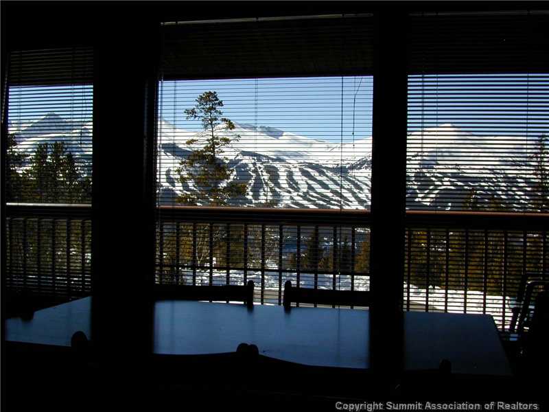 56 View Lane Breckenridge CO 80424