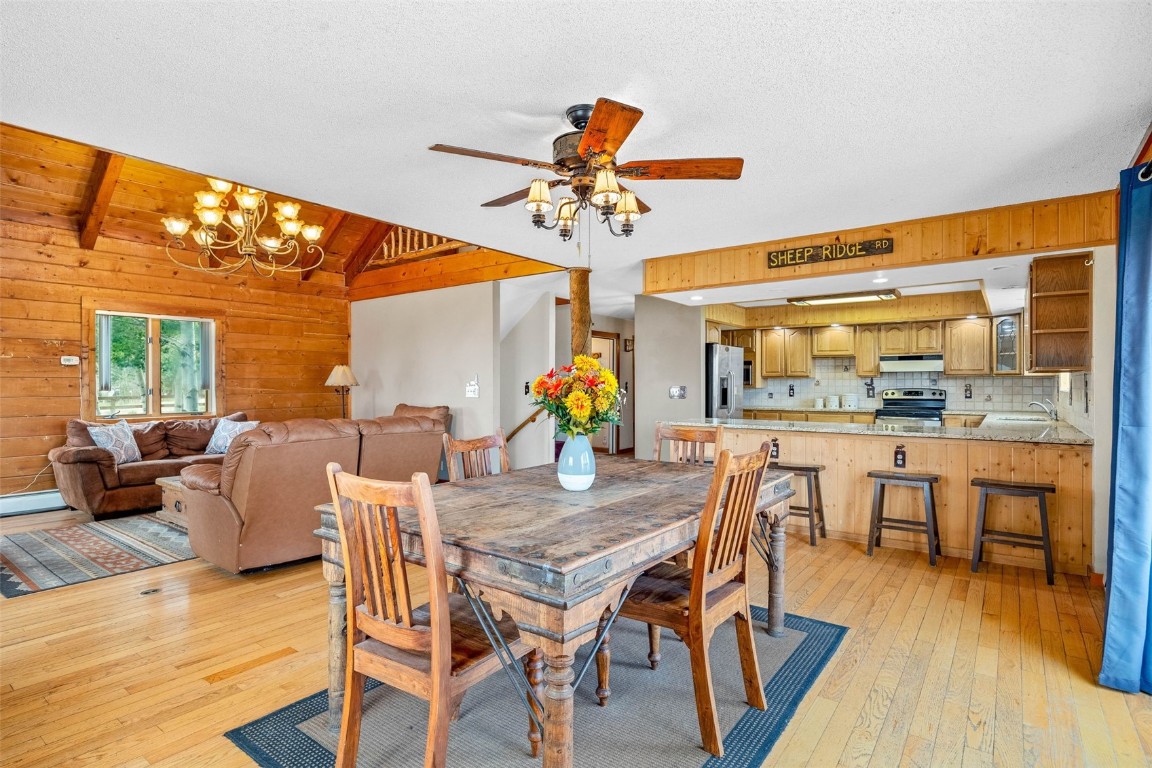 597 Sheep Ridge Road Fairplay CO 80440