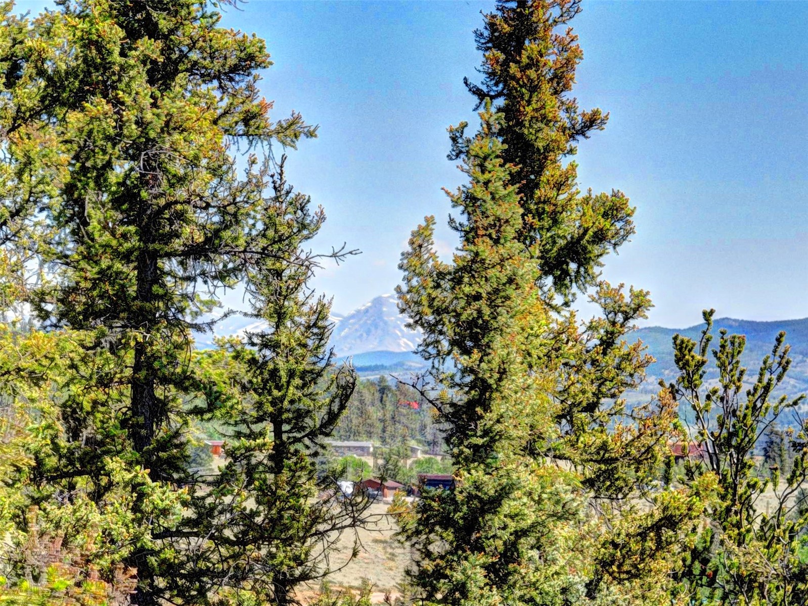 225 Deadwood Drive Jefferson CO 80456