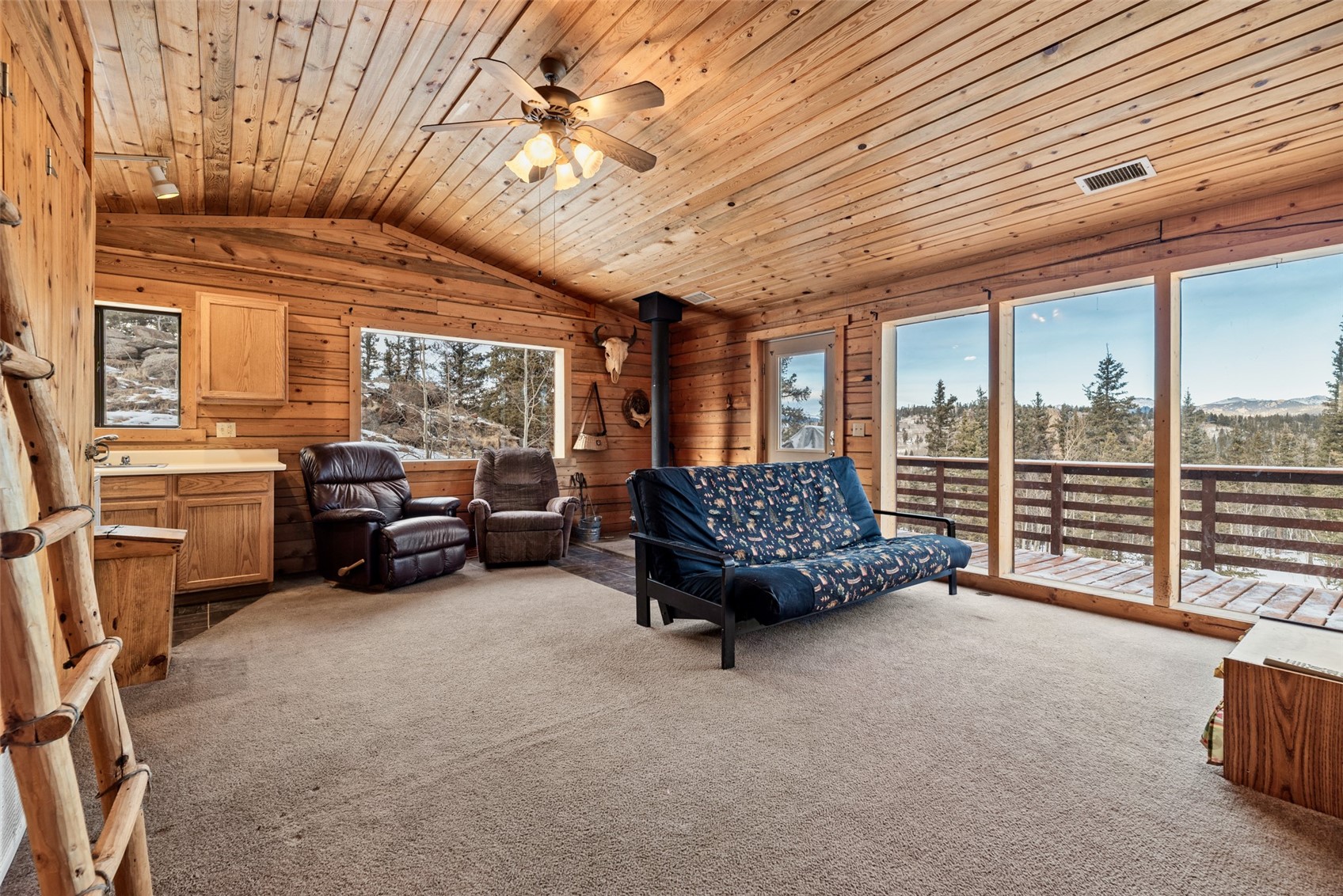 225 Deadwood Drive Jefferson CO 80456