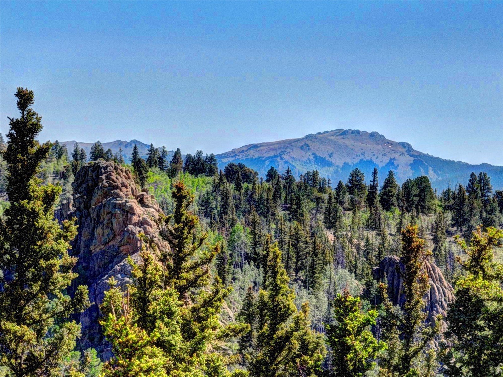 225 Deadwood Drive Jefferson CO 80456