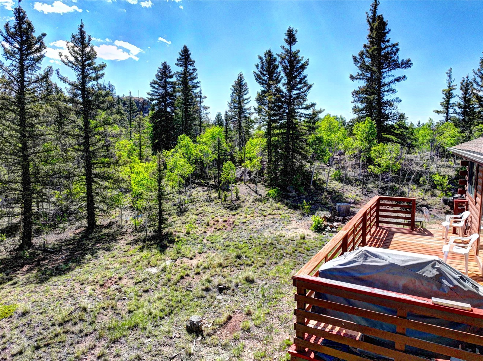 225 Deadwood Drive Jefferson CO 80456
