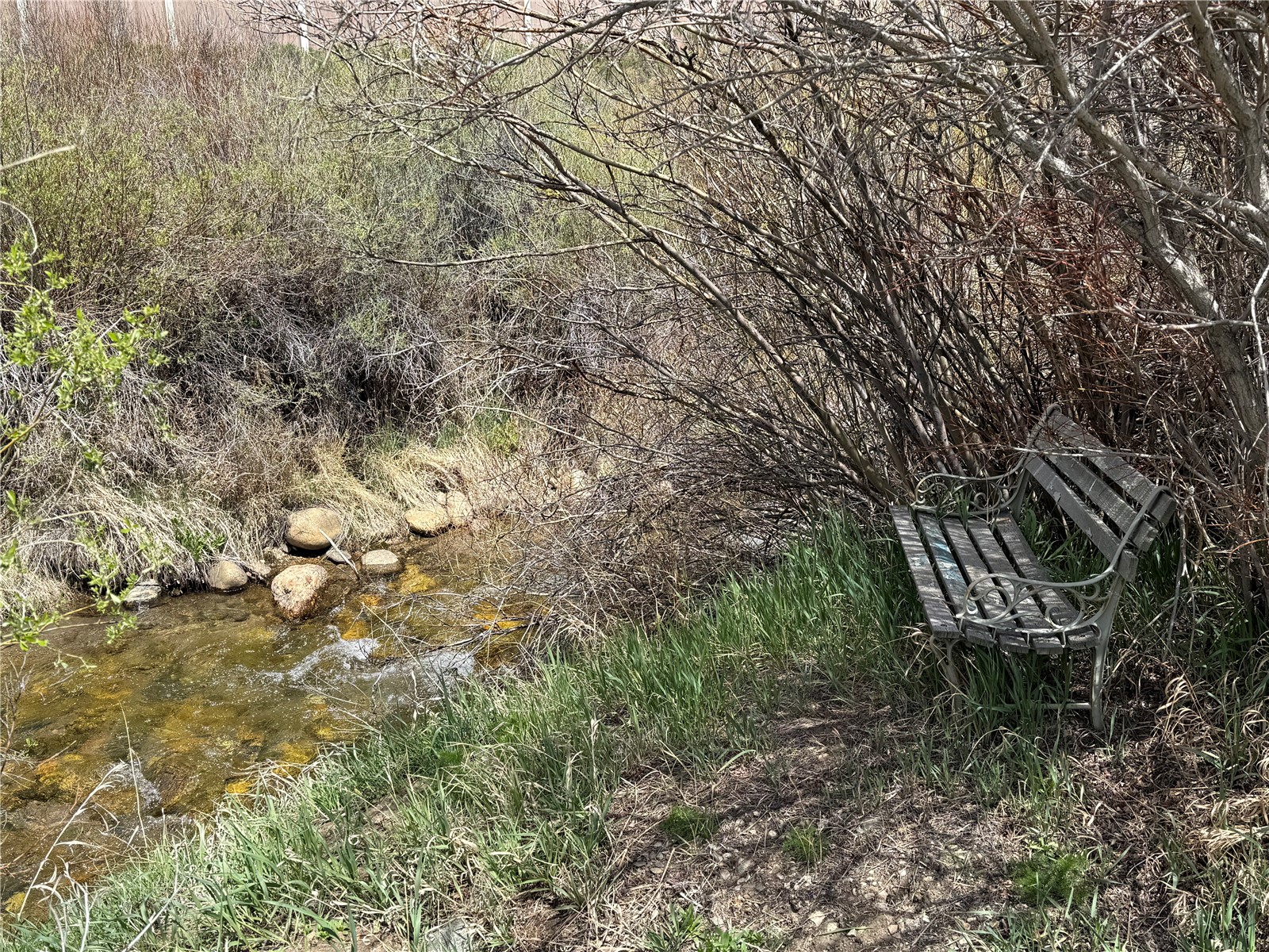 115 Straight Creek Drive Dillon CO 80435