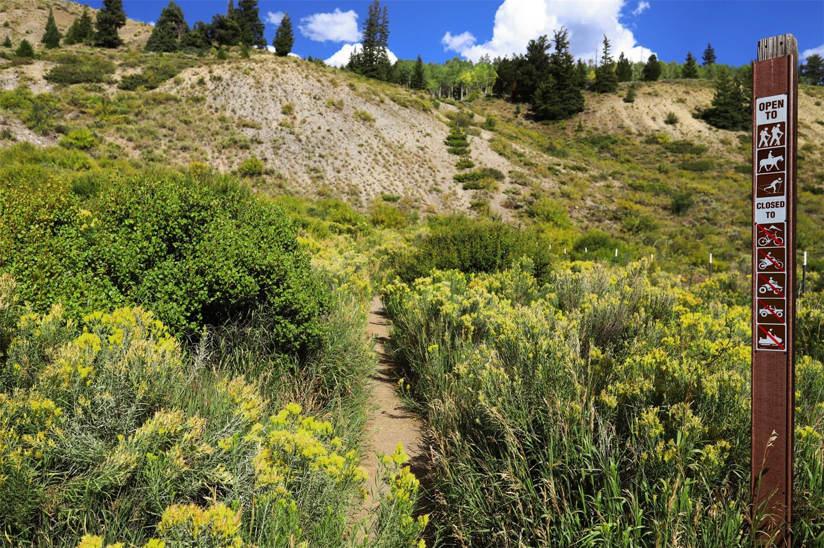 67 Fly Line Drive Silverthorne CO 80498
