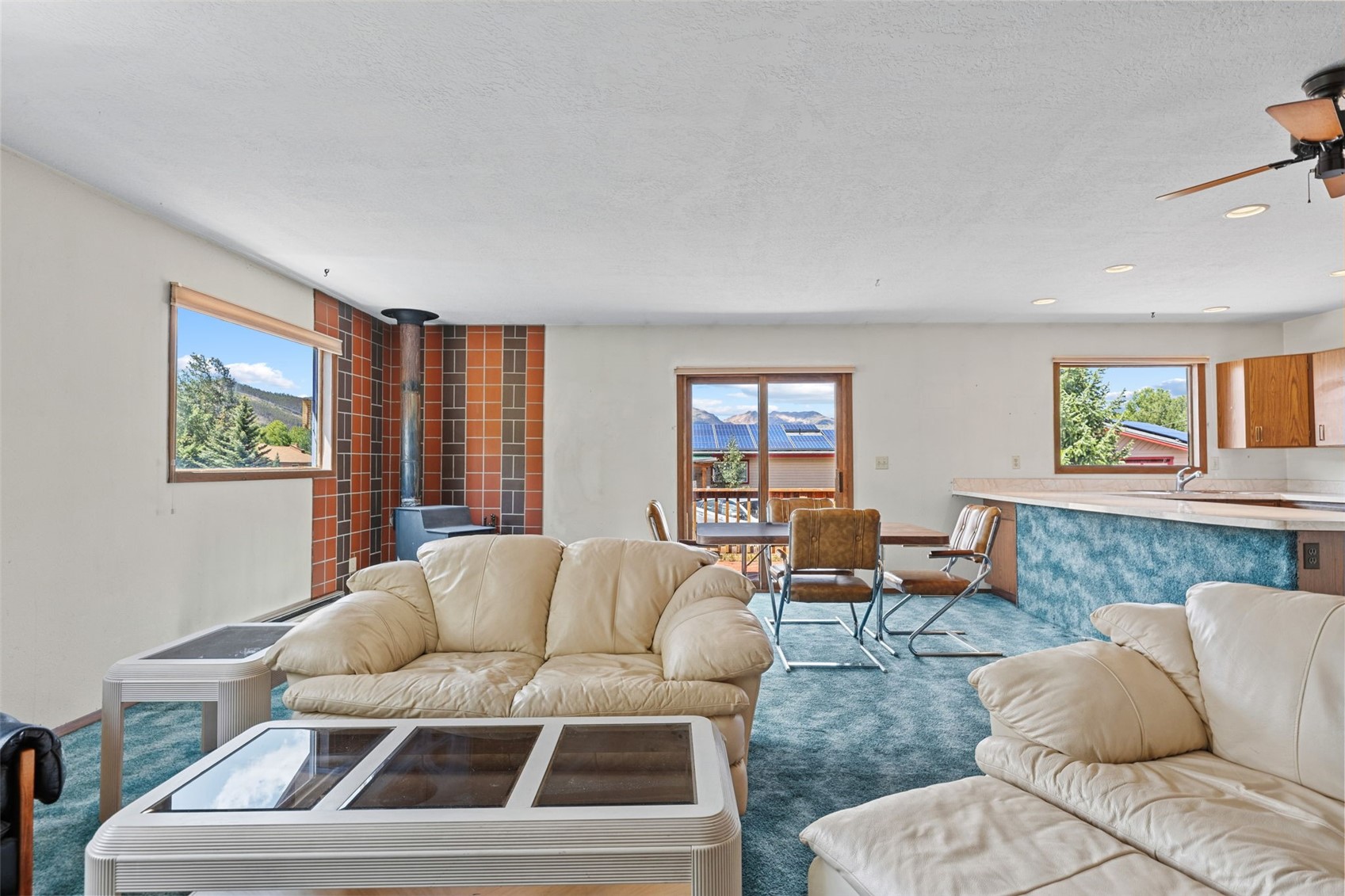 143 Meadow Drive Dillon CO 80435