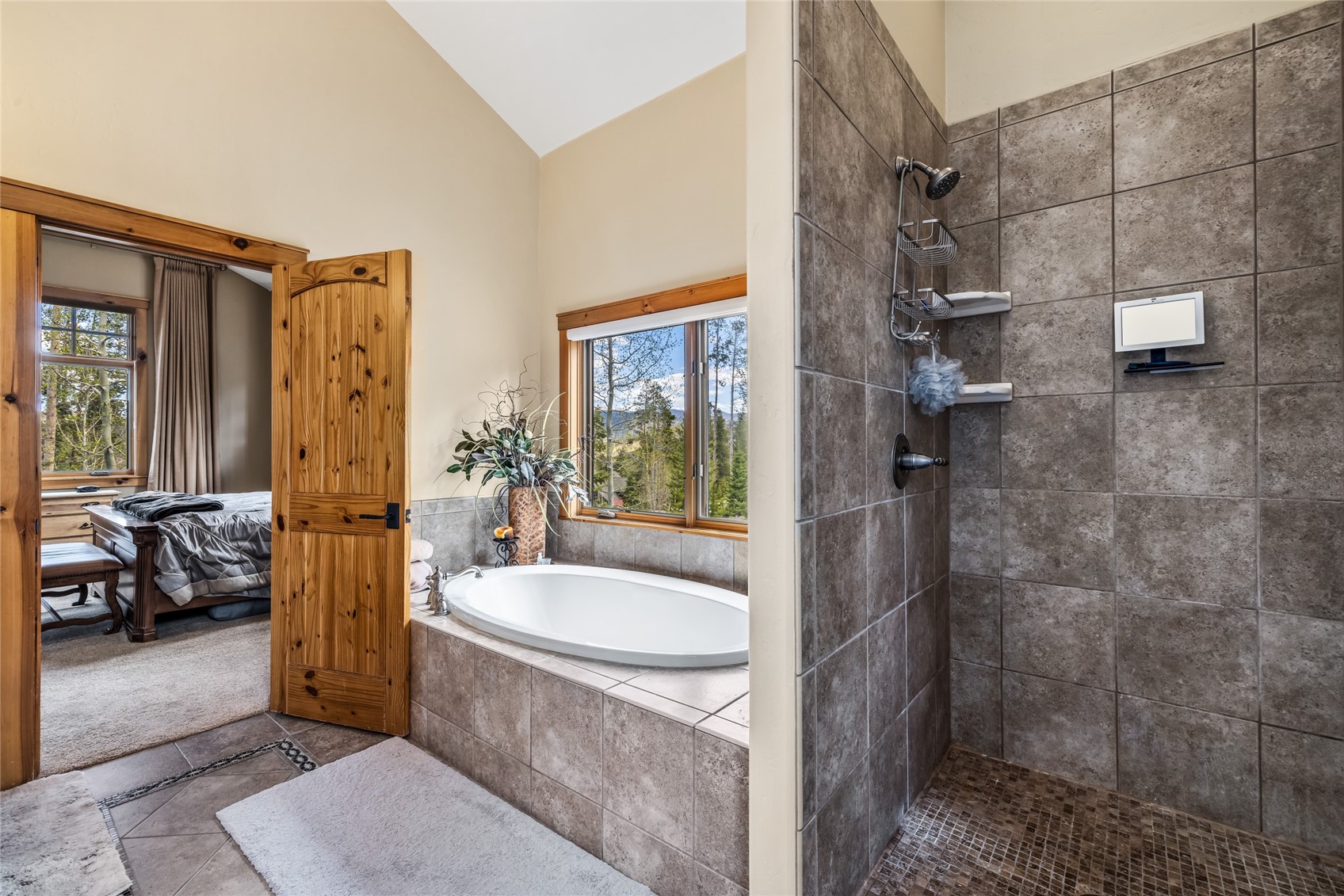 246 Westerman Road Breckenridge CO 80424