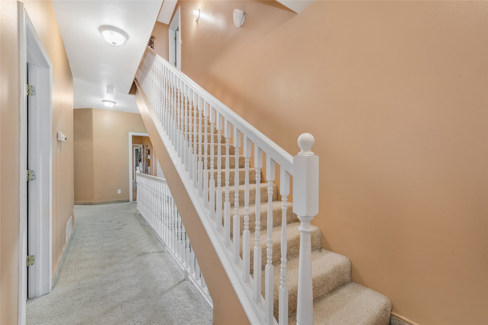 289 Lewis Lane Craig CO 81625