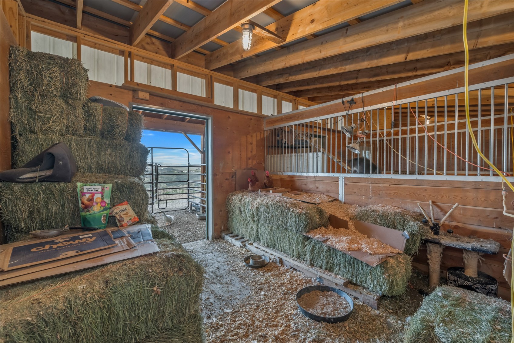 289 Lewis Lane Craig CO 81625