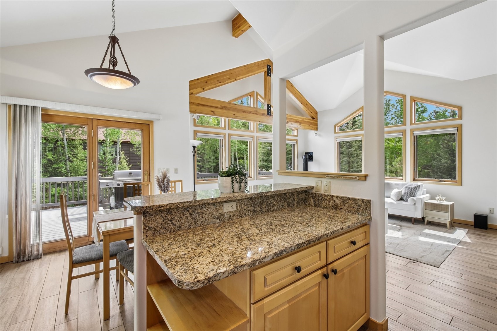 1100 Mesa Drive Silverthorne CO 80498