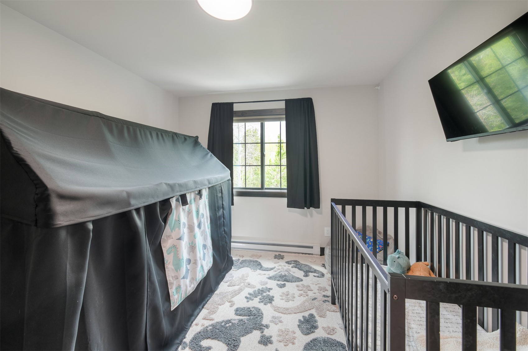 306 S Golden Eagle Drive Silverthorne CO 80498