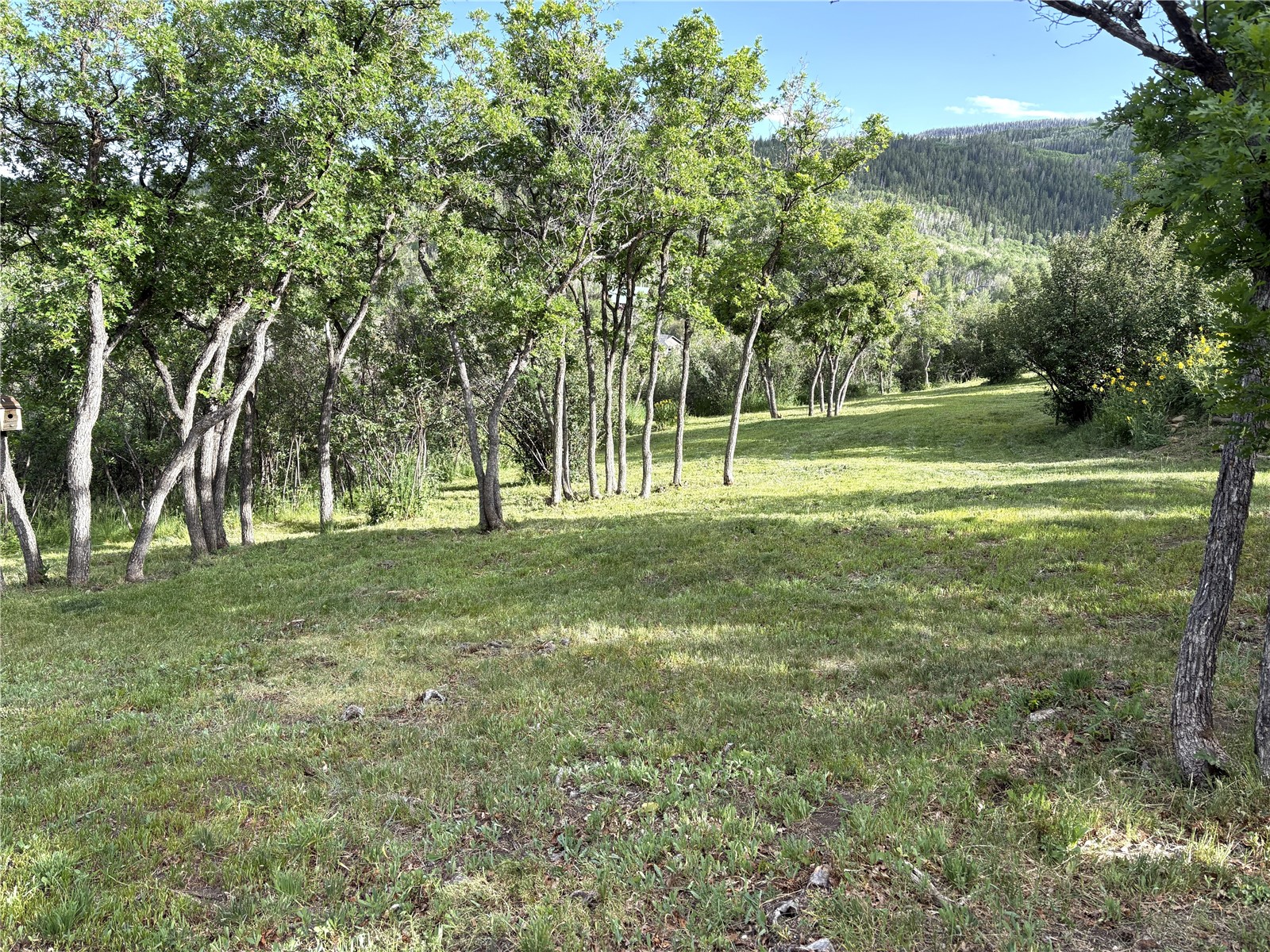 31045 Broken Talon Trail Oak Creek CO 80467