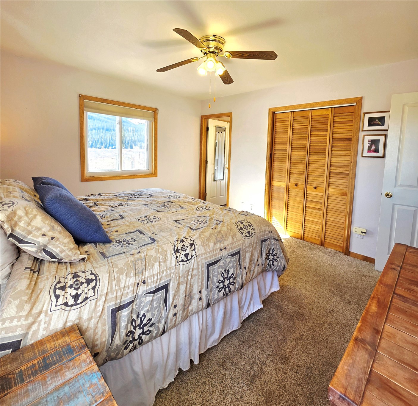 1692 Cr-12 Alma CO 80420