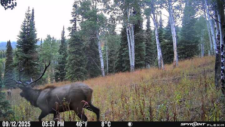 50166 County Road 80 Hayden CO 81639