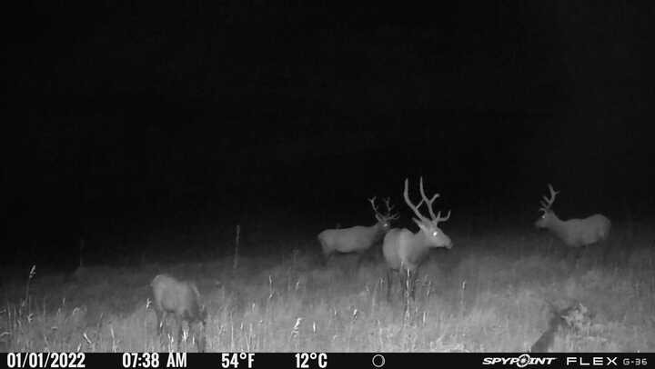 50166 County Road 80 Hayden CO 81639
