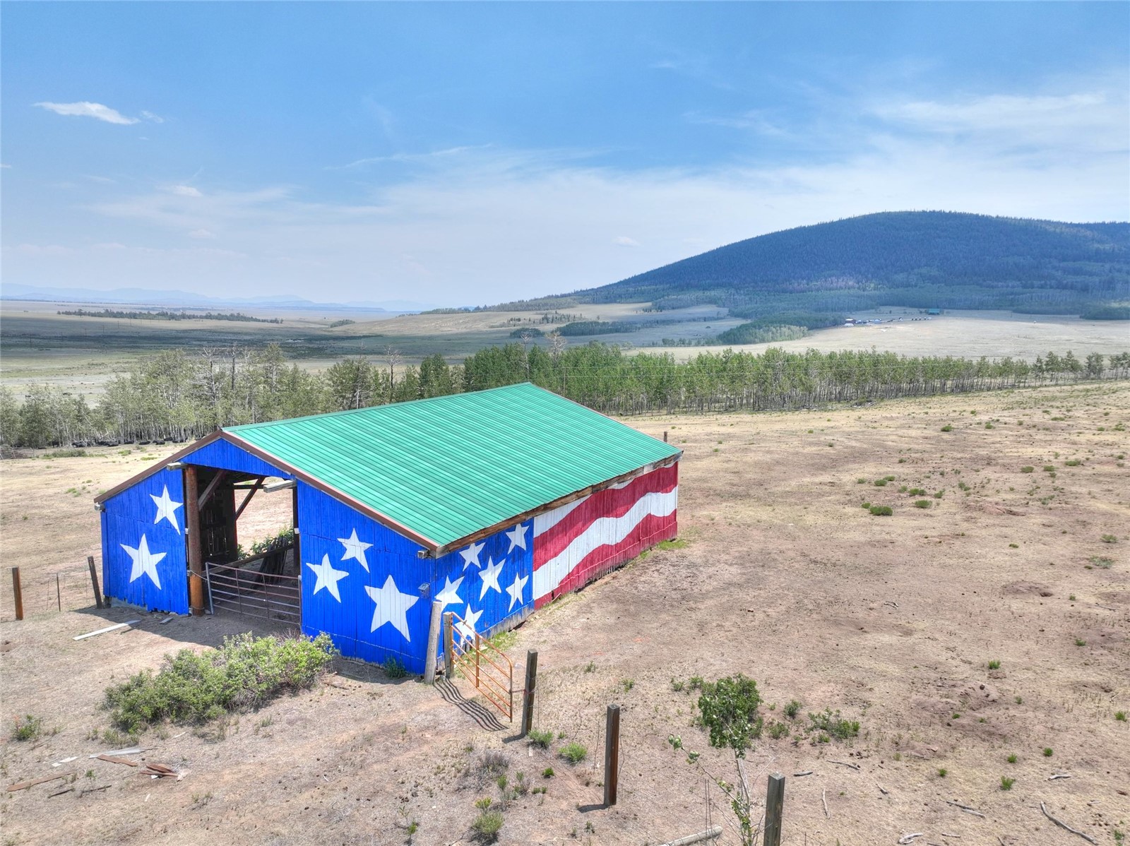 3960 County Road 5 Fairplay CO 80440