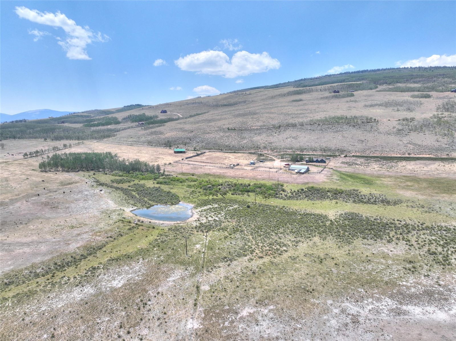3960 County Road 5 Fairplay CO 80440
