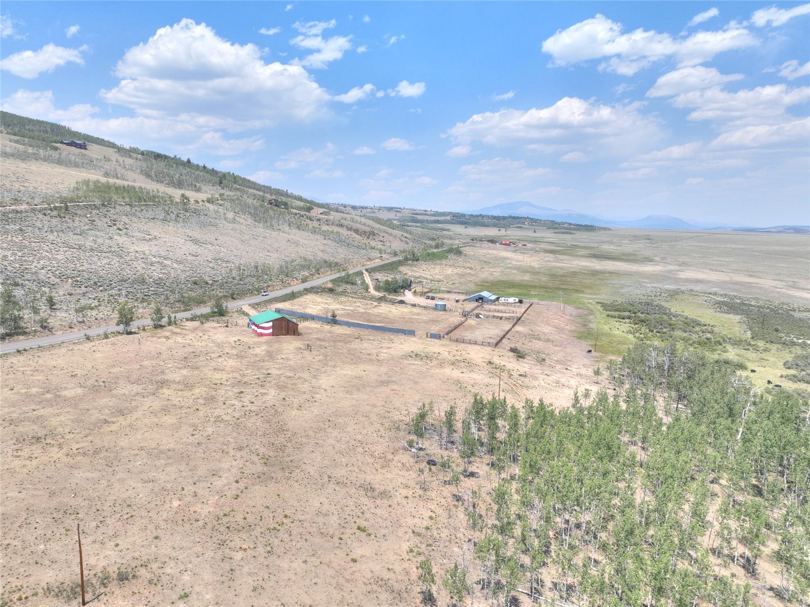 3960 County Road 5 Fairplay CO 80440
