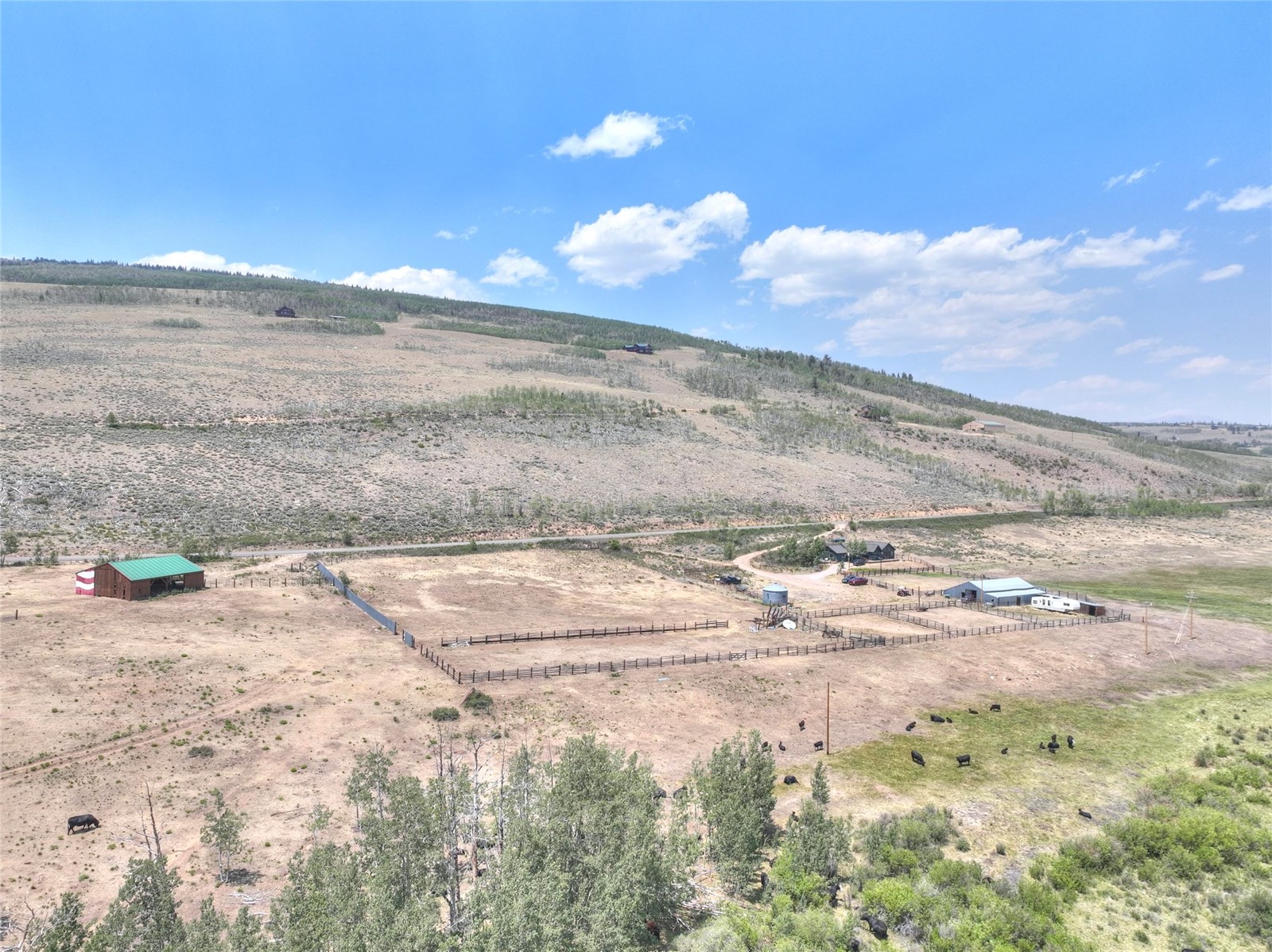 3960 County Road 5 Fairplay CO 80440