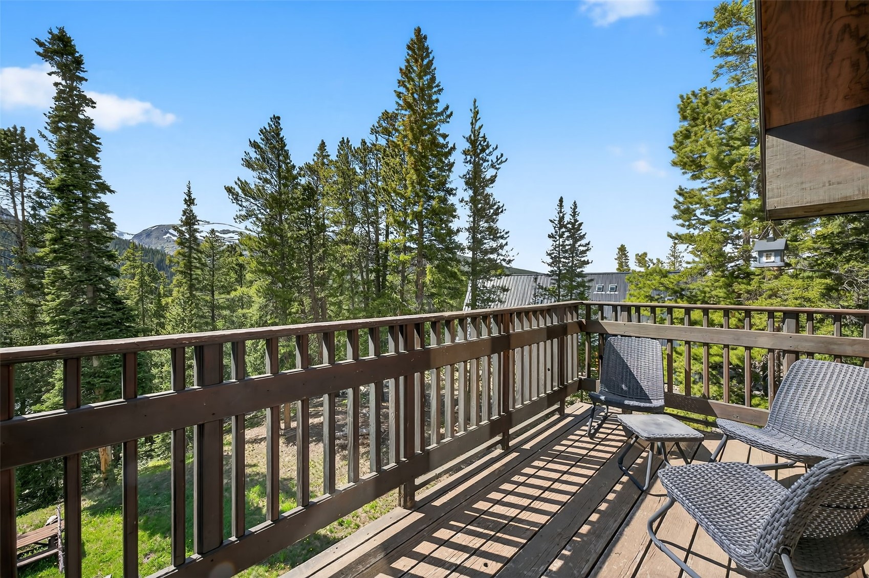 773 Range Road Breckenridge CO 80424