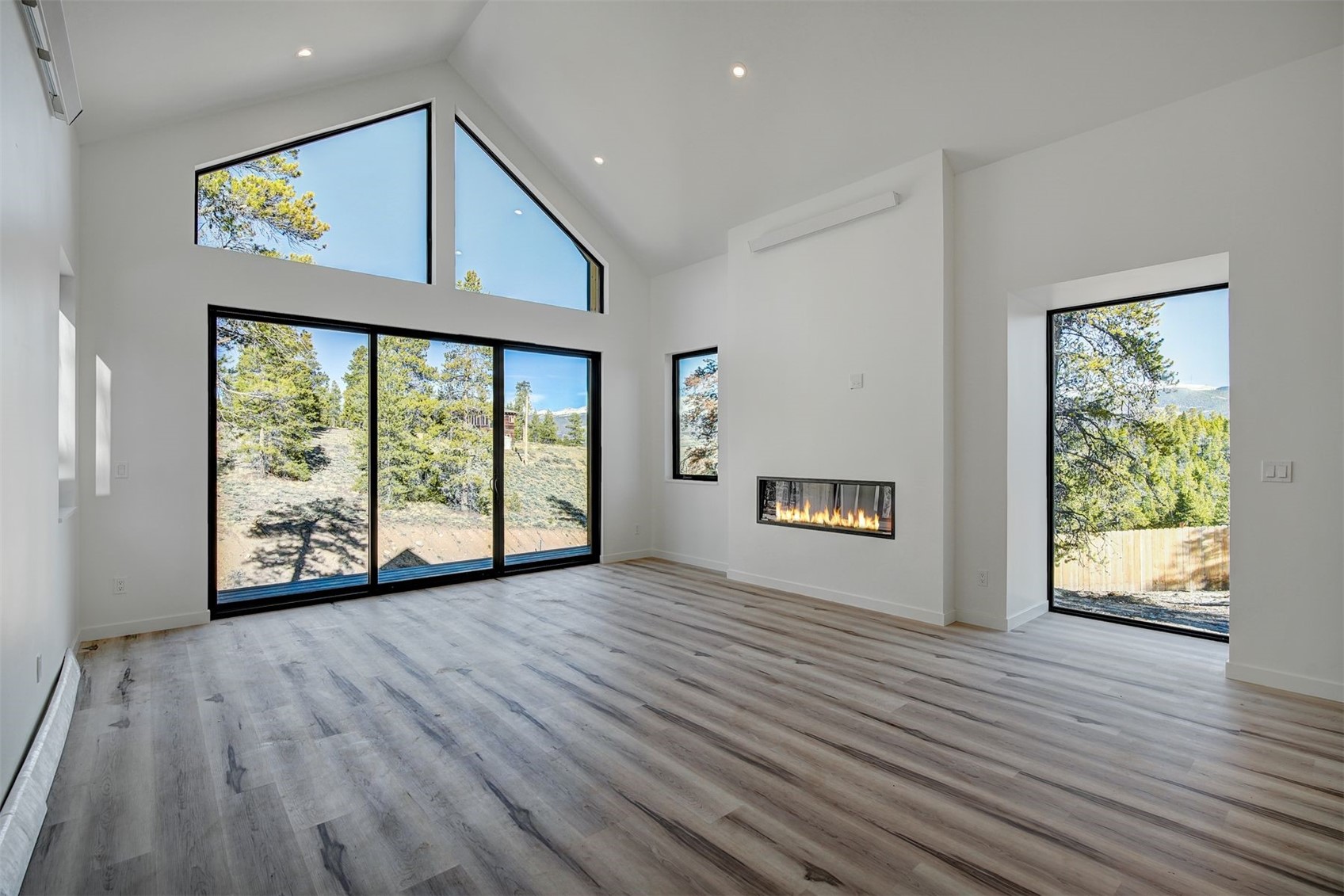 124 Peak View Drive Leadville CO 80461