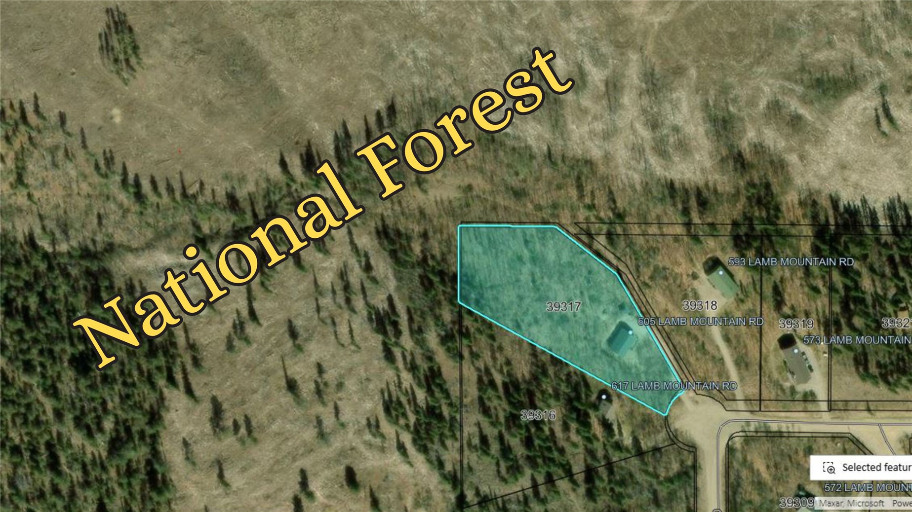 605 Lamb Mountain Road Fairplay CO 80440