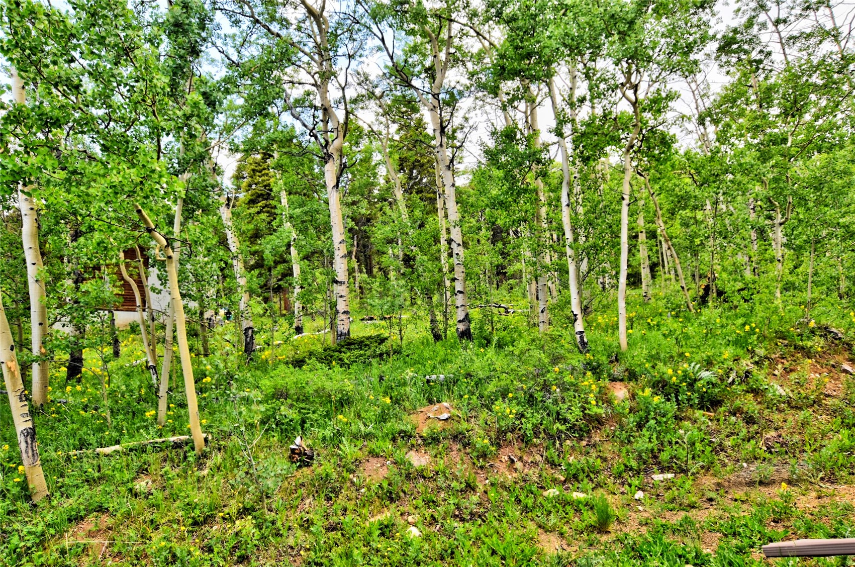 605 Lamb Mountain Road Fairplay CO 80440