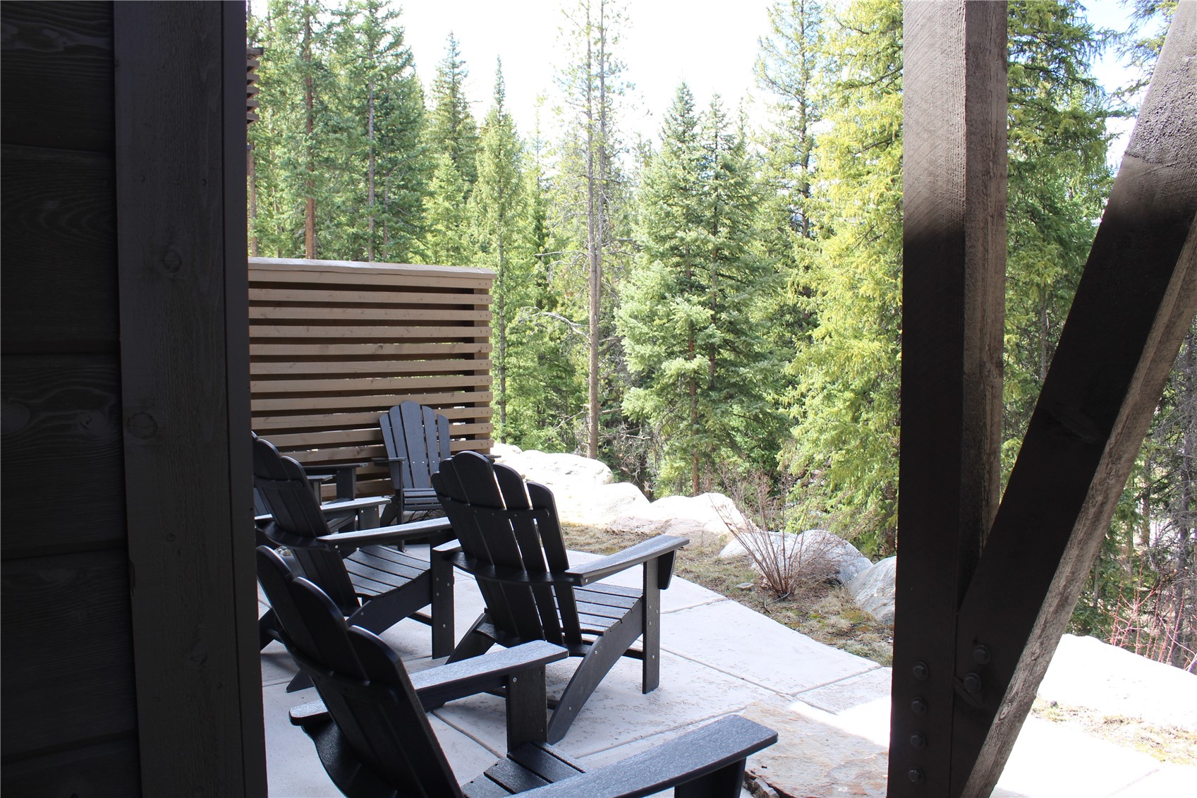 441 River Park Drive Breckenridge CO 80424