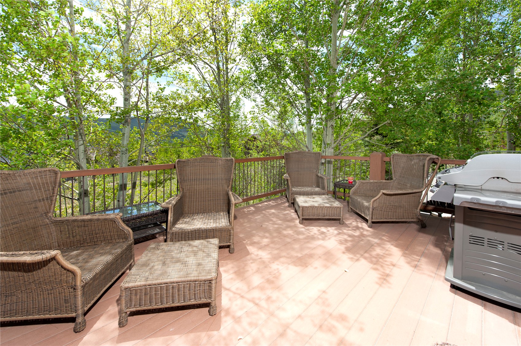 34 Snow Peak Court Dillon CO 80435