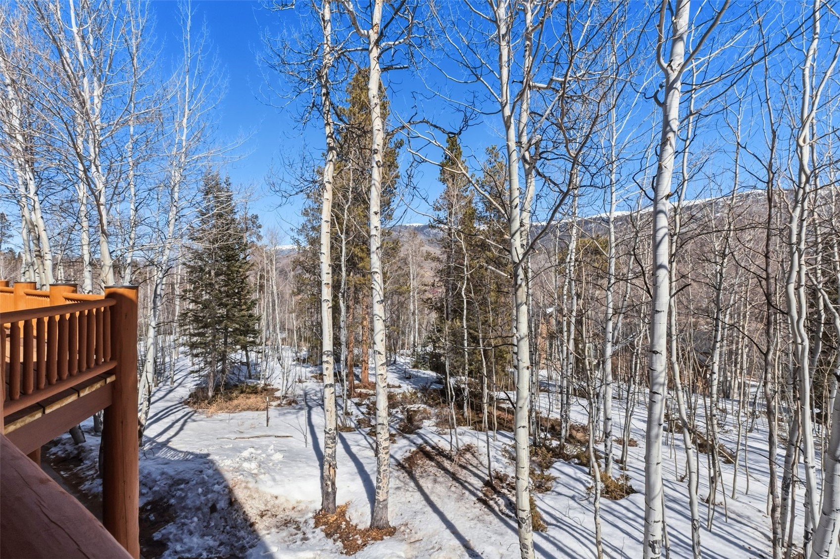 195 Easy Bend Trail Silverthorne CO 80498