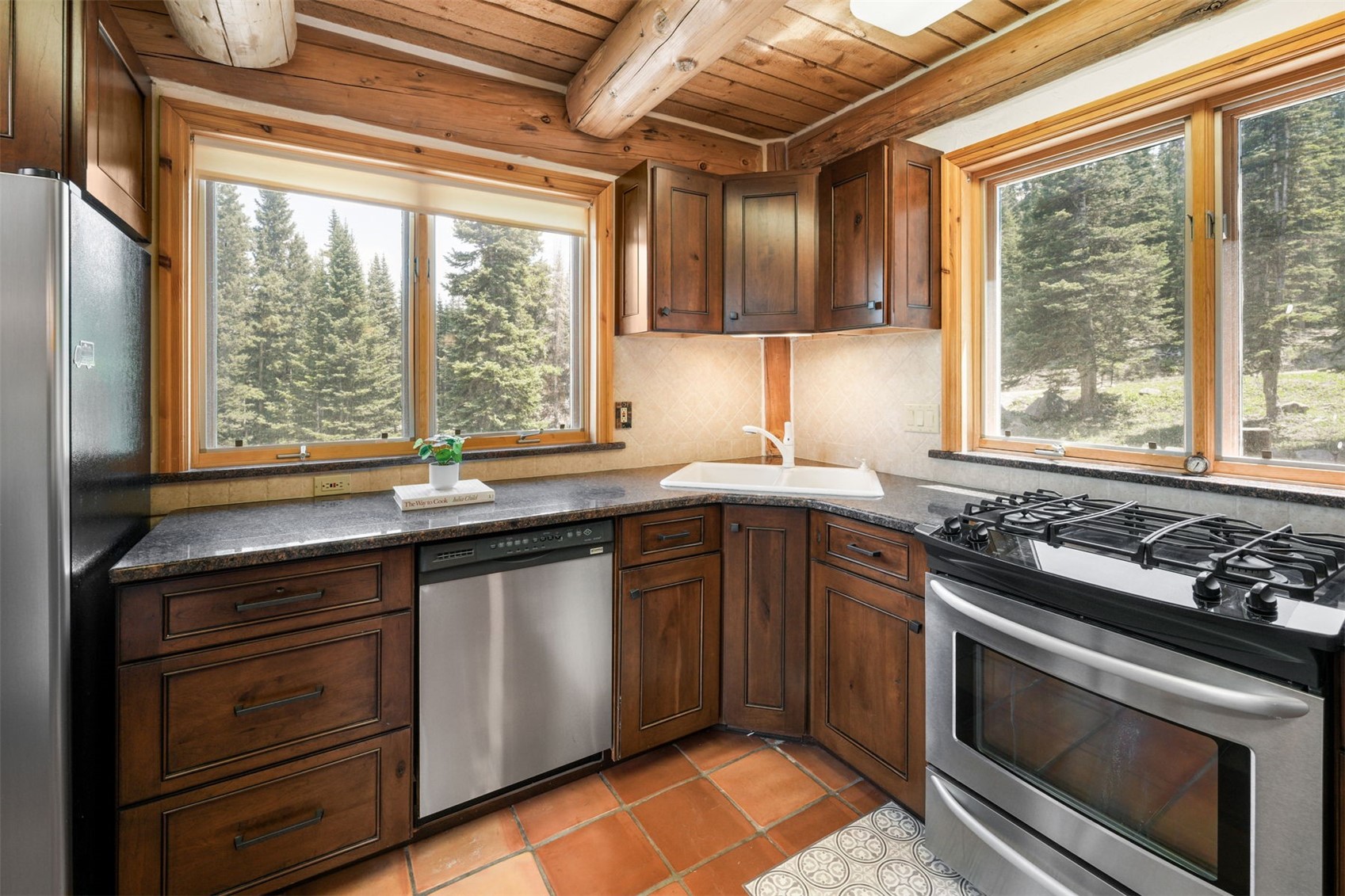 496 Hamilton Lane Breckenridge CO 80424