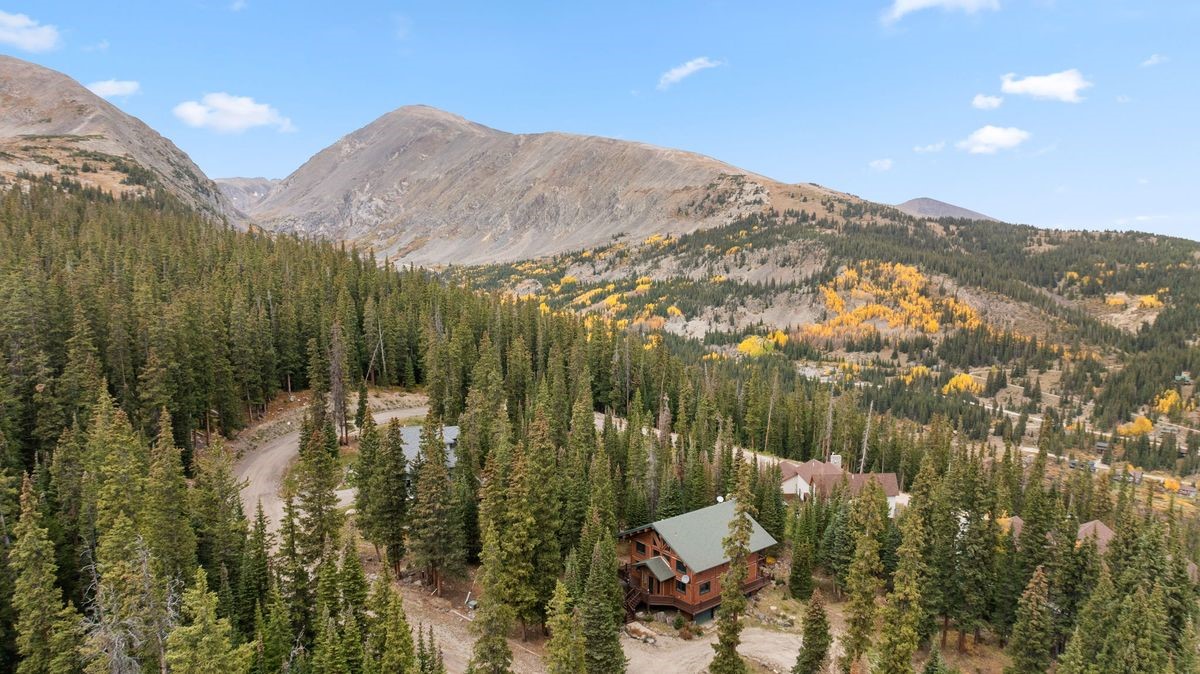 496 Hamilton Lane Breckenridge CO 80424