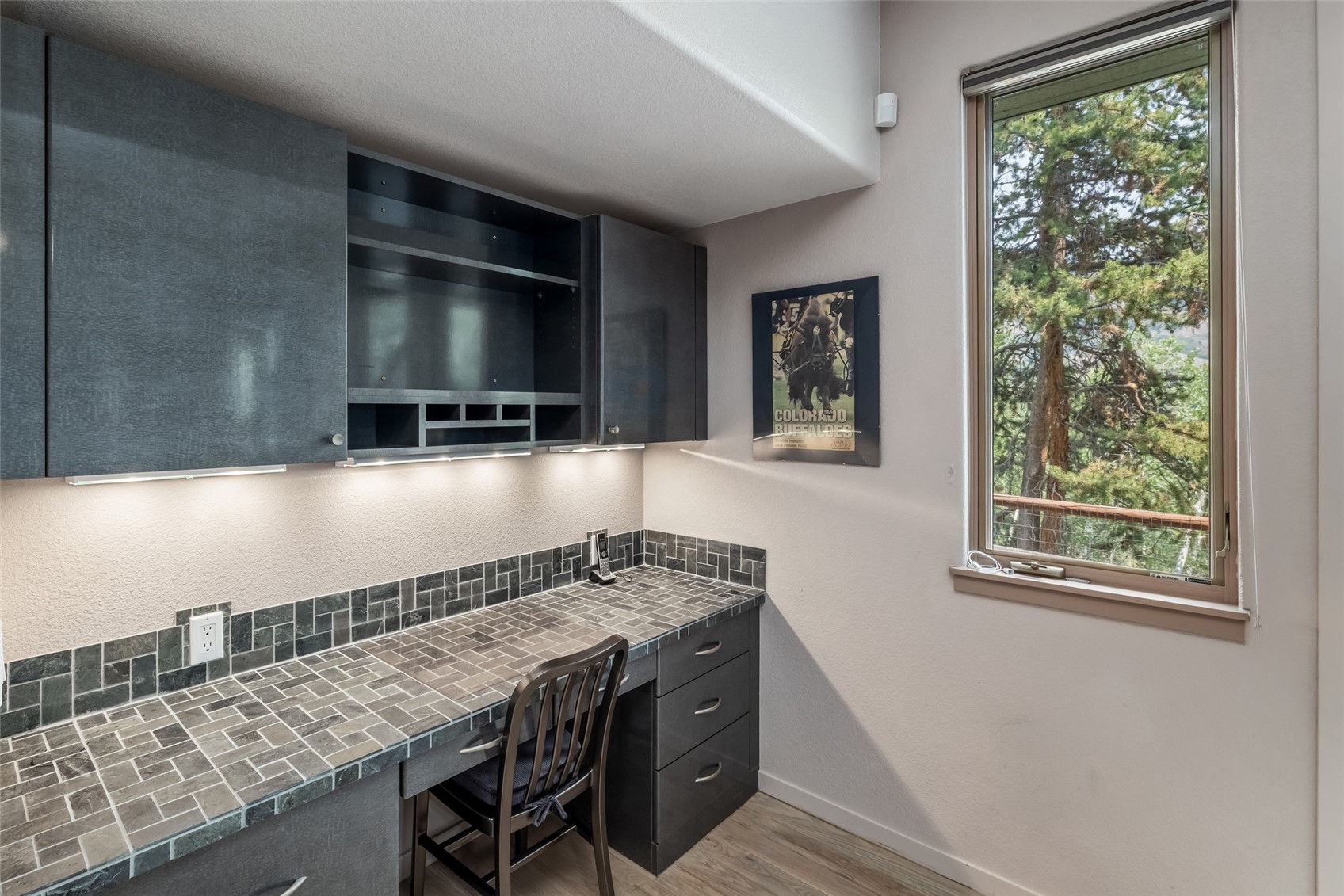 1744 Falcon Drive Silverthorne CO 80498