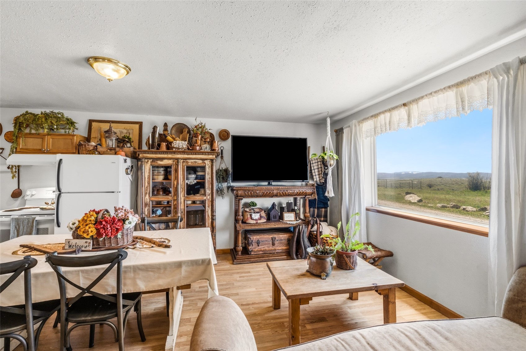 6055 Homesteader Lane Hayden CO 81639