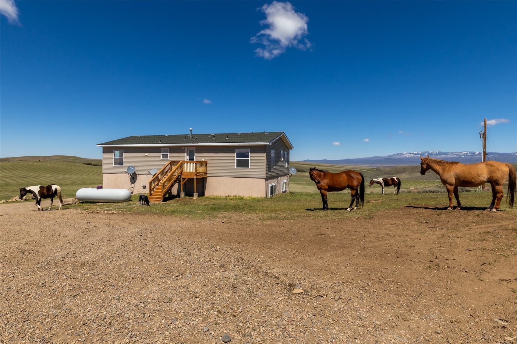6055 Homesteader Lane Hayden CO 81639