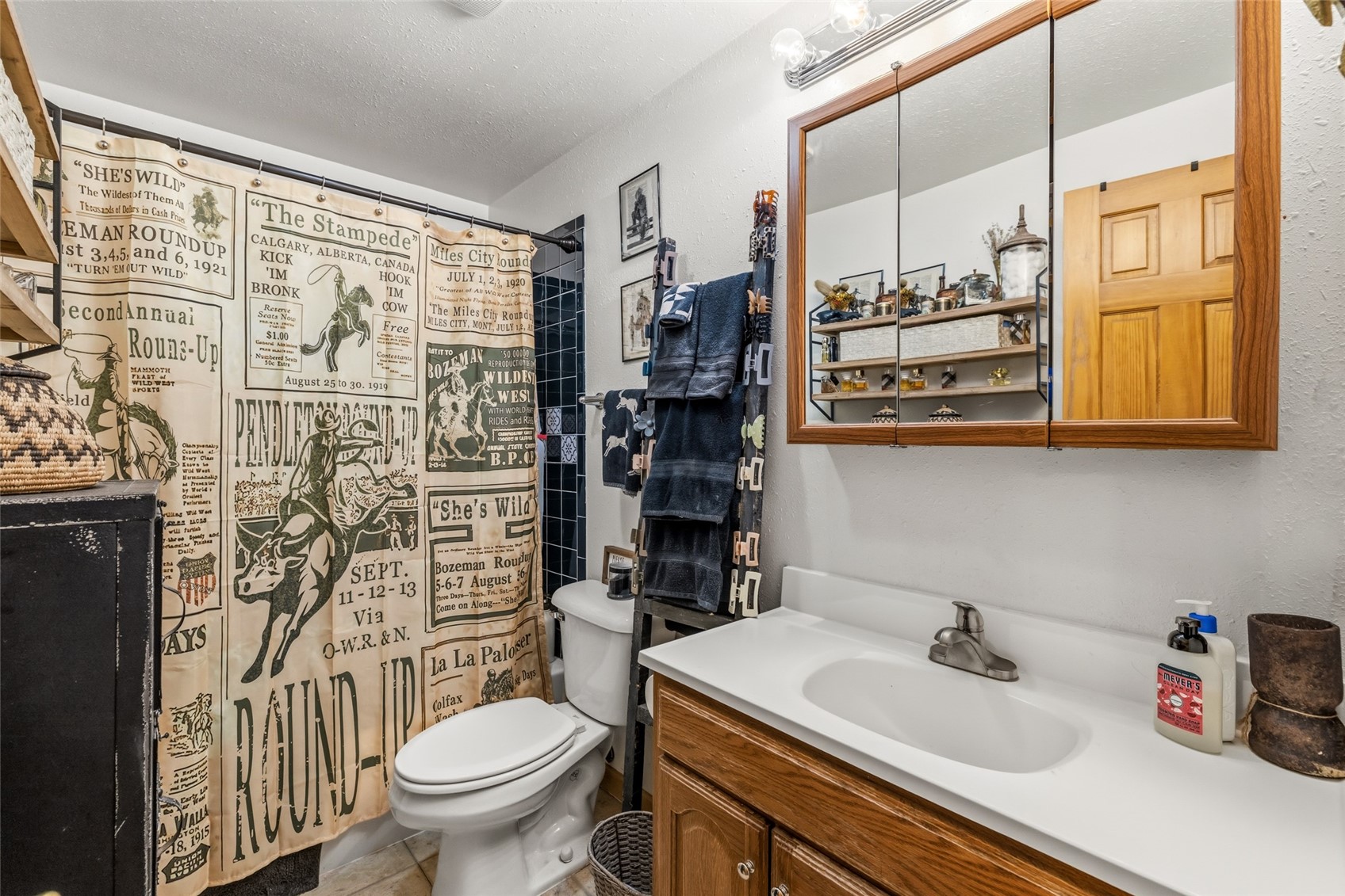 6055 Homesteader Lane Hayden CO 81639