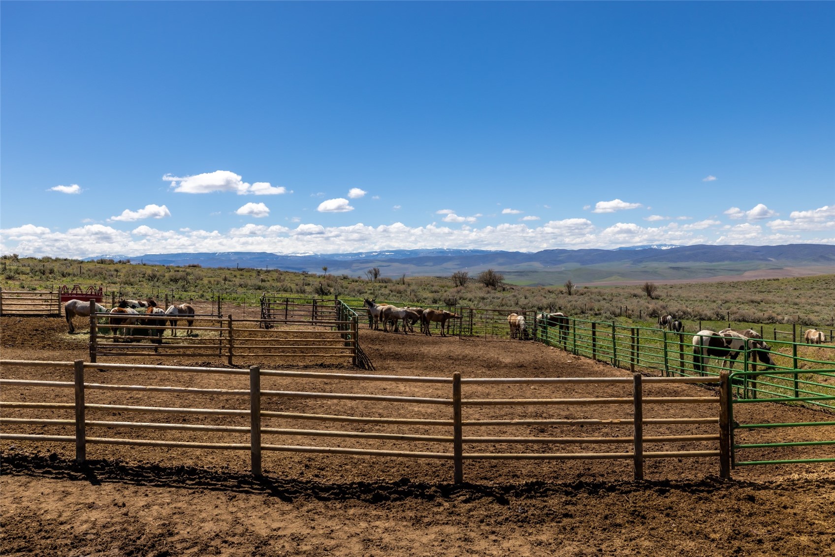 6055 Homesteader Lane Hayden CO 81639