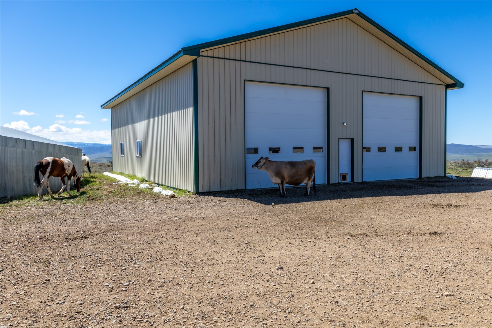 6055 Homesteader Lane Hayden CO 81639