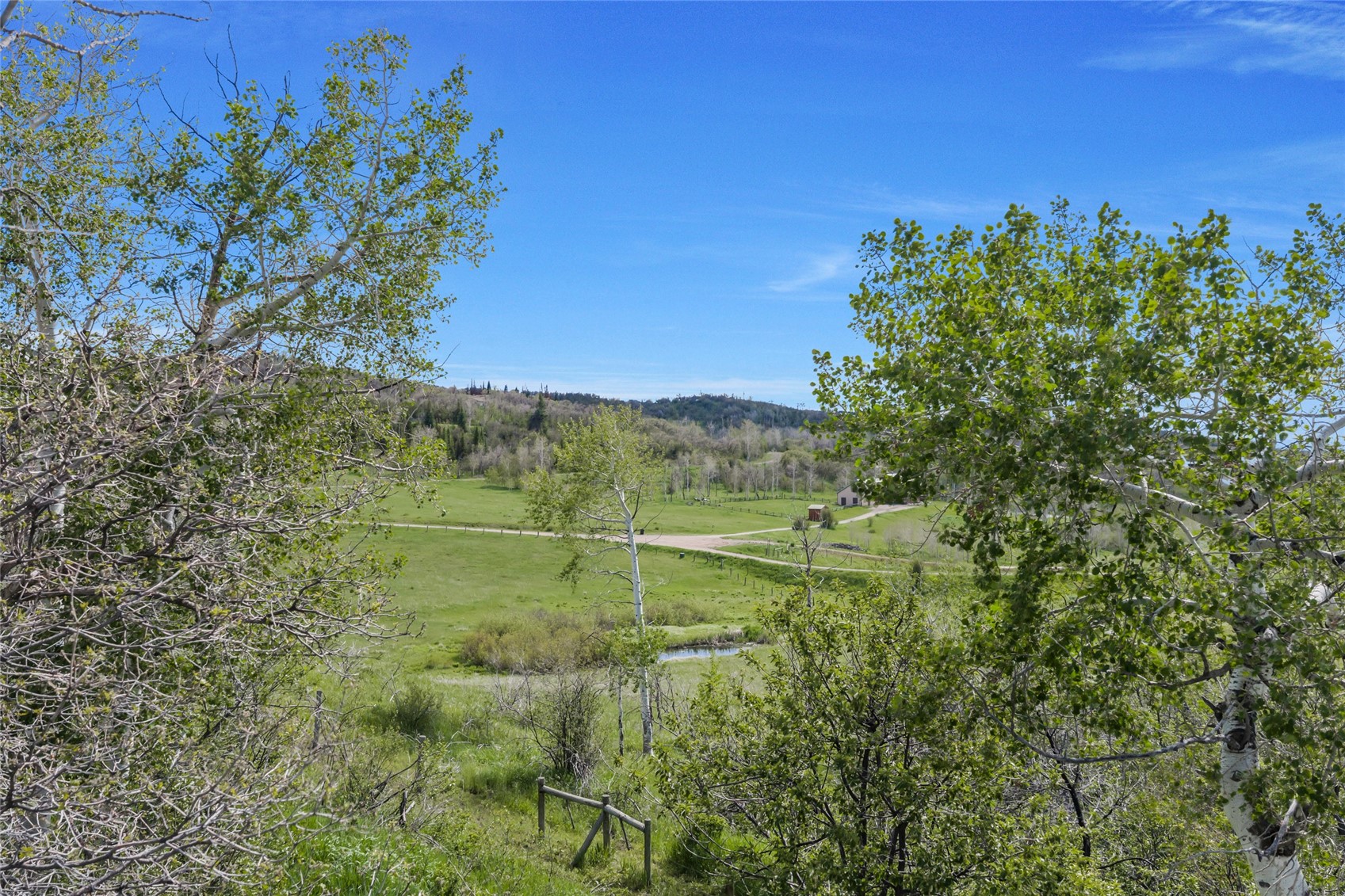 27055 Whitewood Drive E Steamboat Springs CO 80487