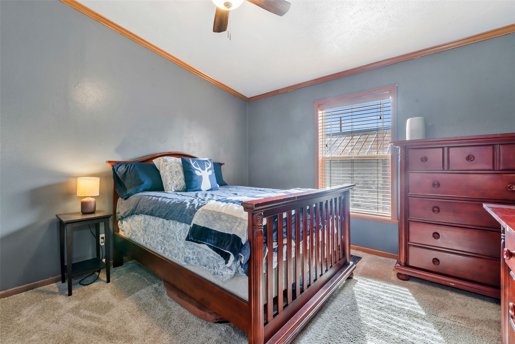 366 S 2nd Street Hayden CO 81639