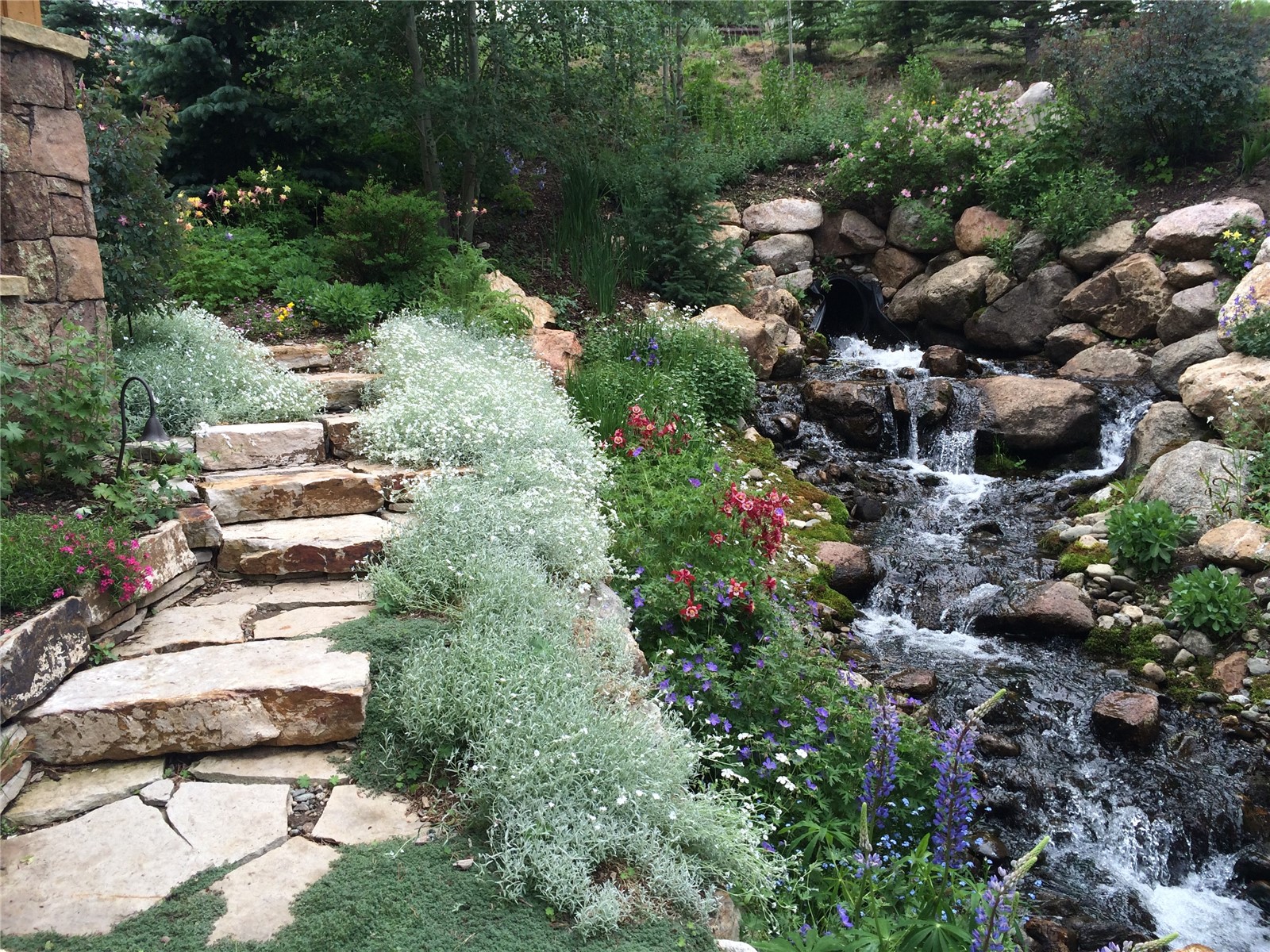 2050 Currant Way Silverthorne CO 80498