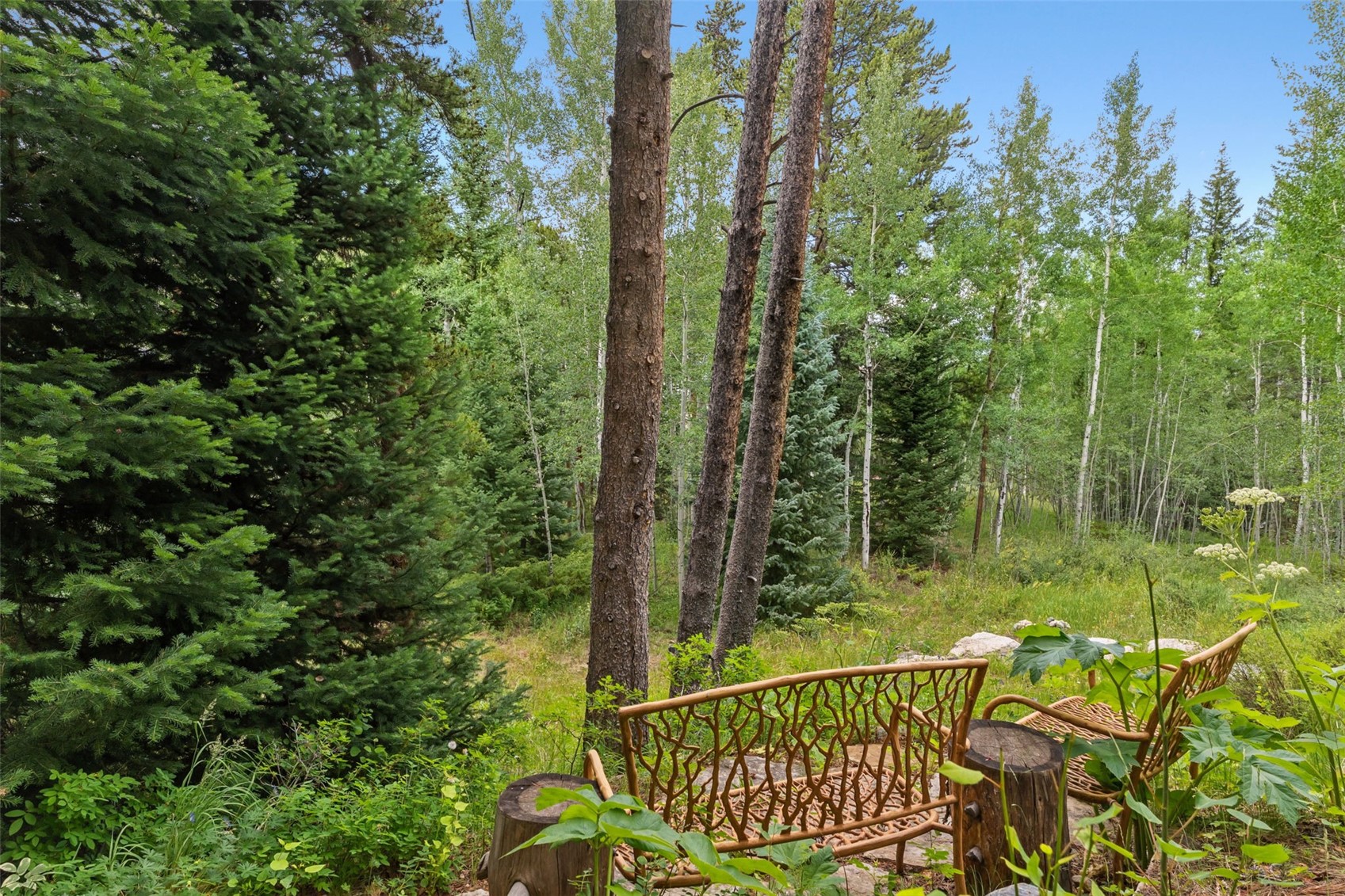 2050 Currant Way Silverthorne CO 80498