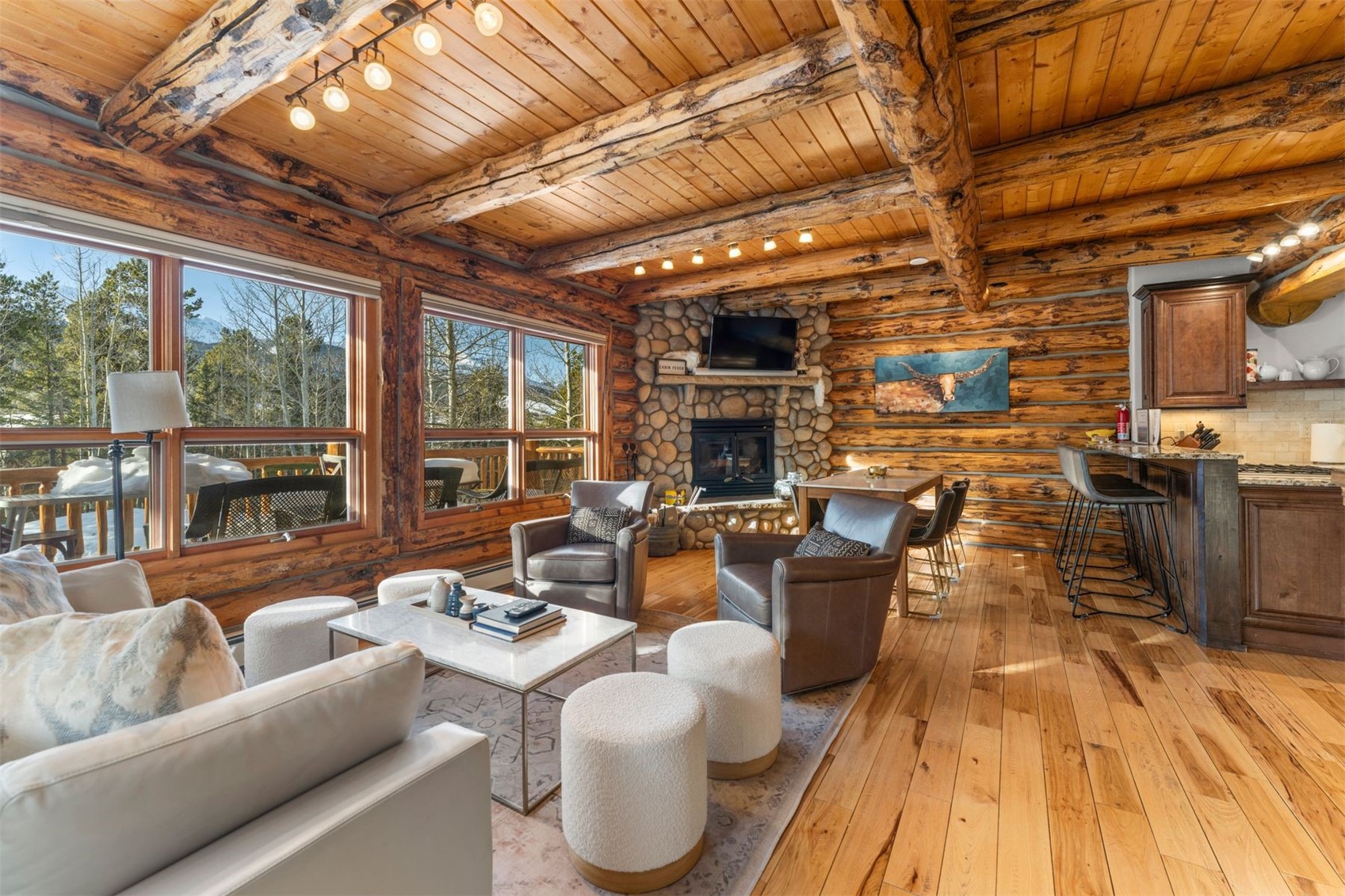 878 American Way Breckenridge CO 80424