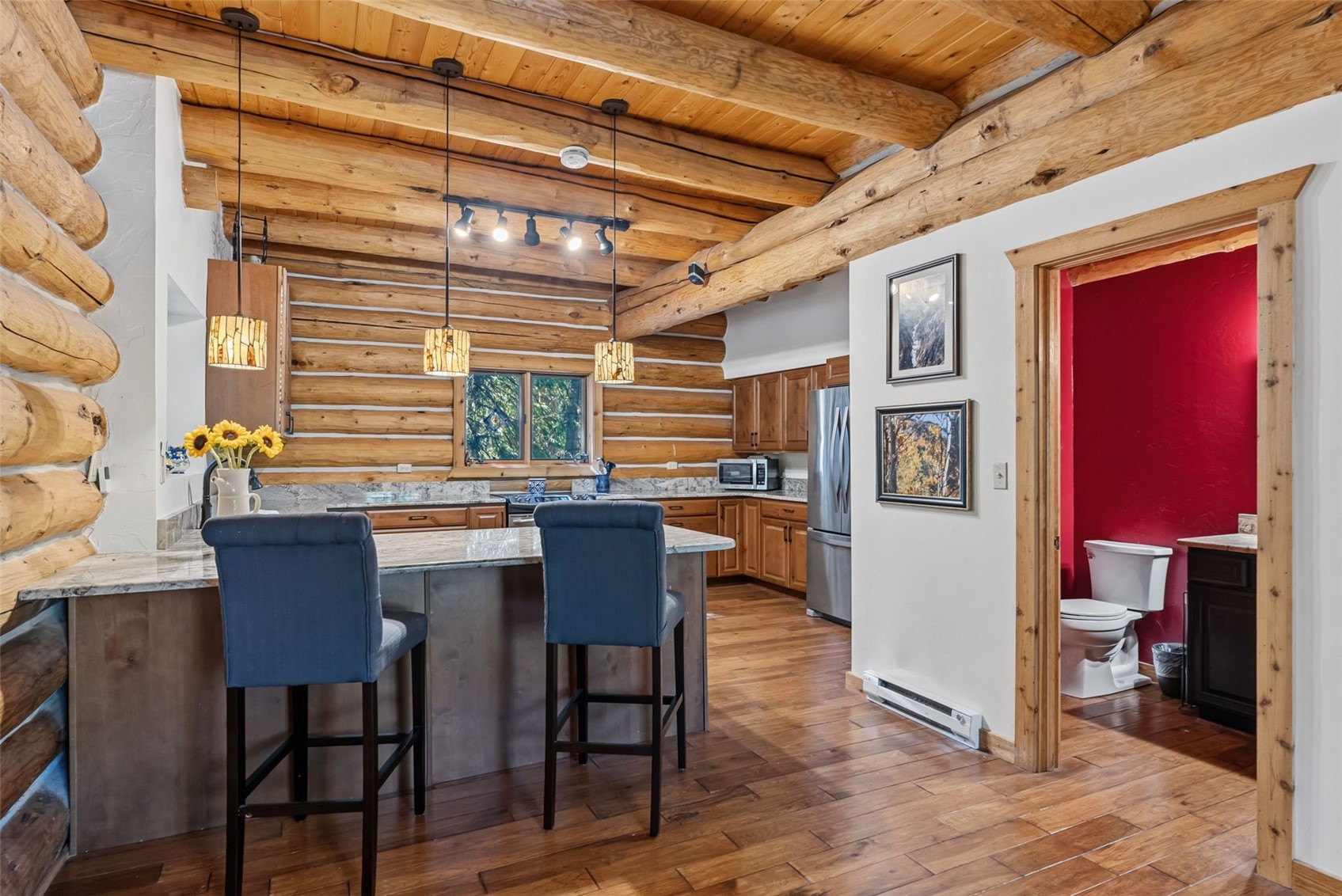 291 Cr 533 Breckenridge CO 80424