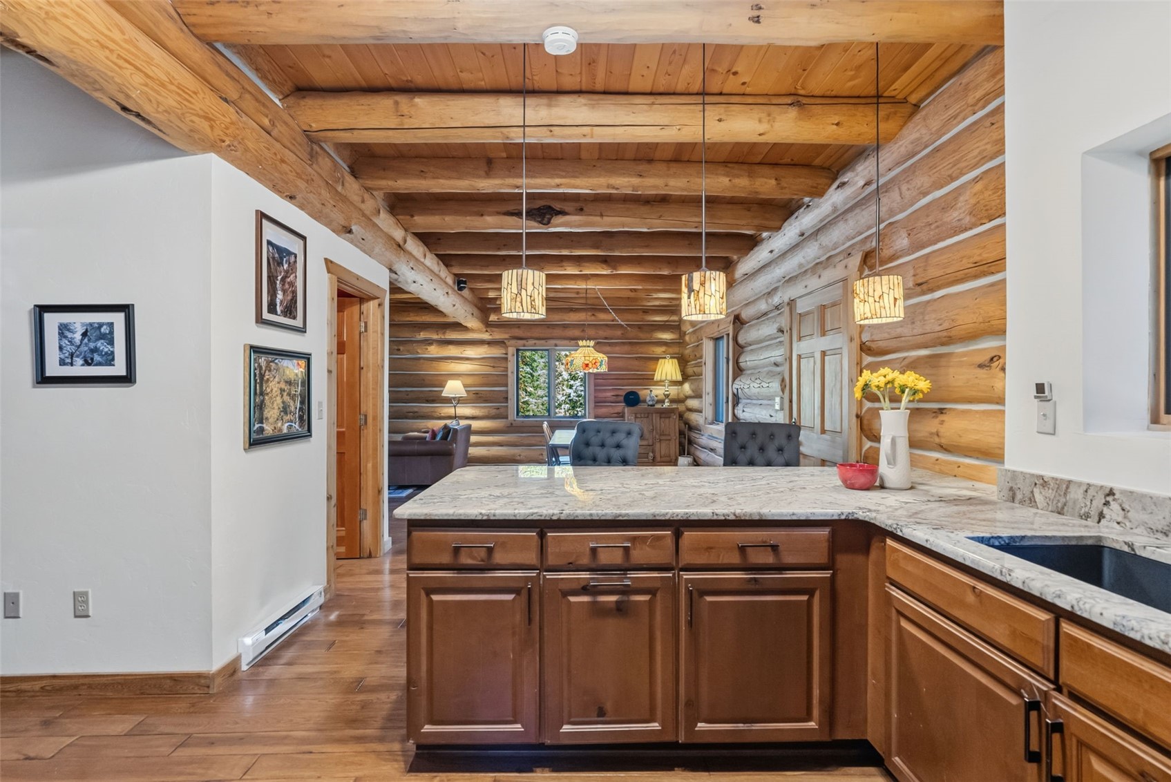 291 Cr 533 Breckenridge CO 80424