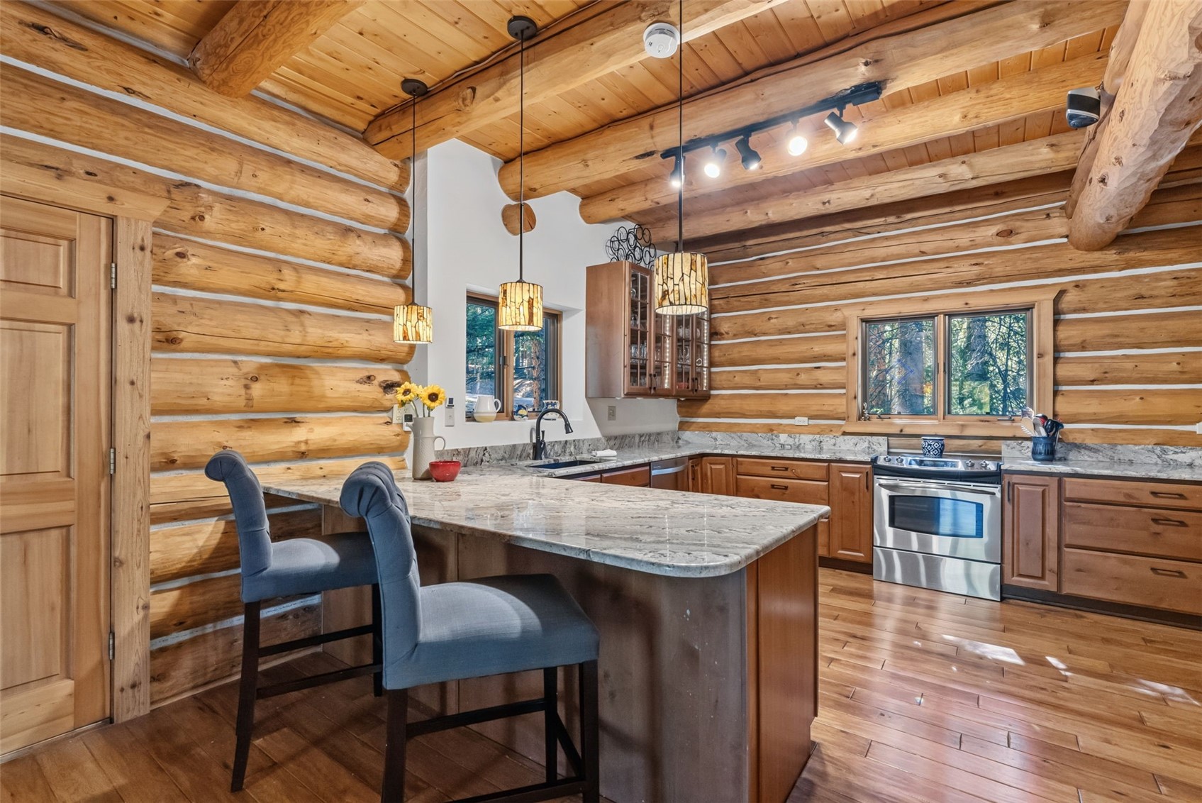 291 Cr 533 Breckenridge CO 80424