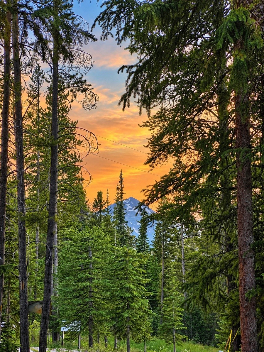 291 Cr 533 Breckenridge CO 80424