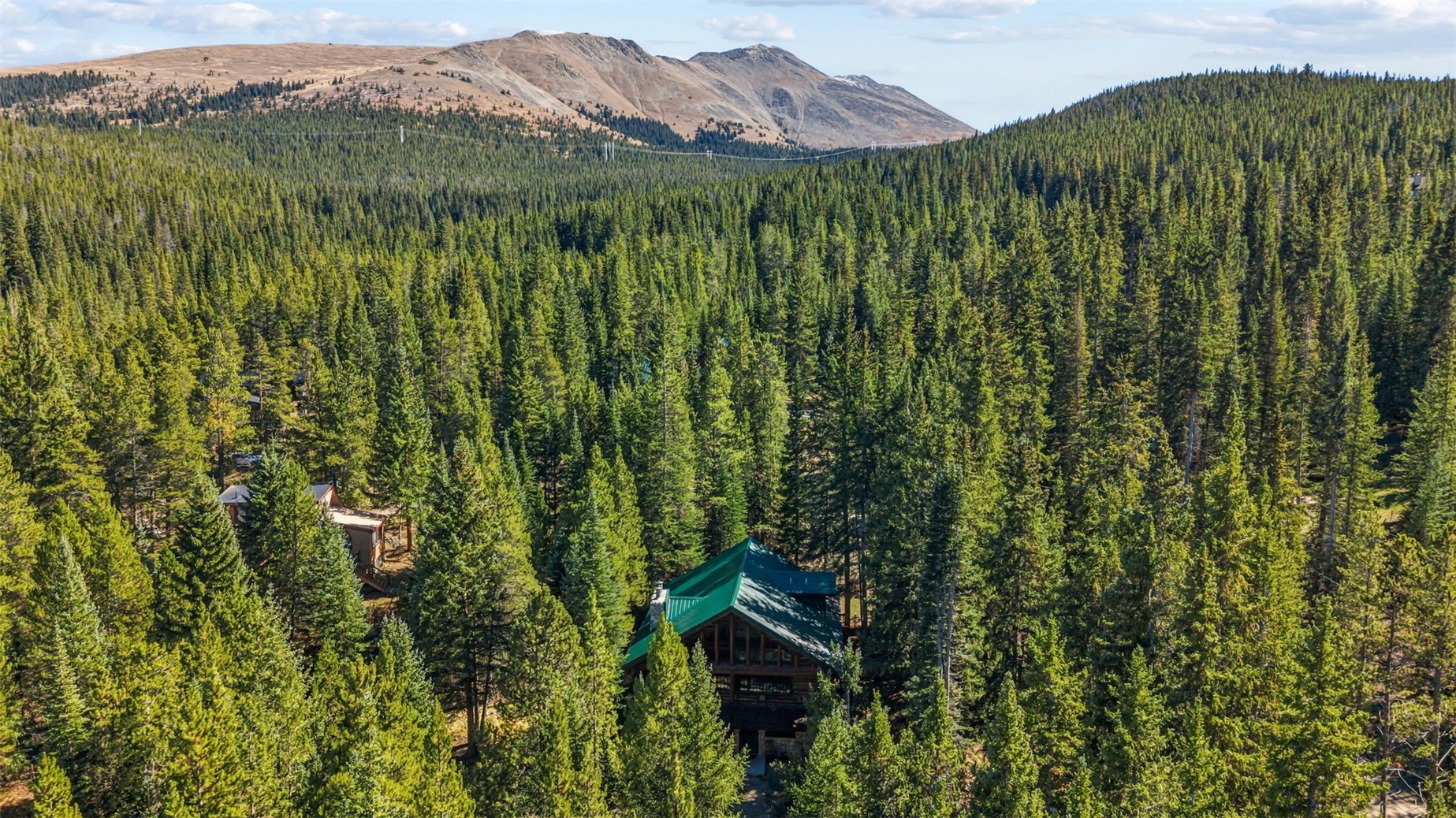291 Cr 533 Breckenridge CO 80424